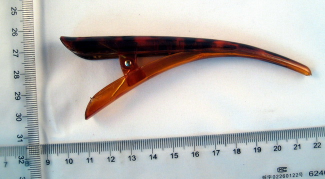 PH011.jpg (164227 bits)