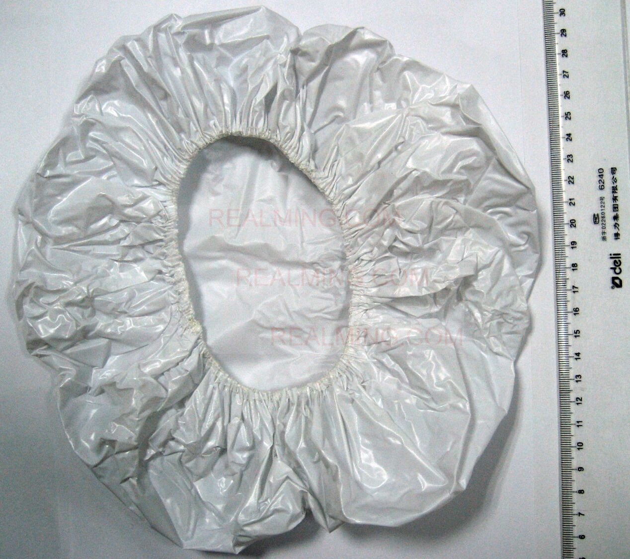 PH008.jpg (57601 bits)
