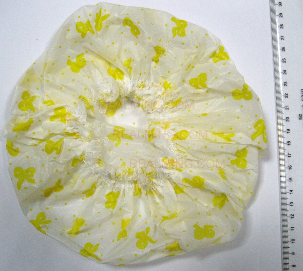 PH016.jpg (175712 bits)