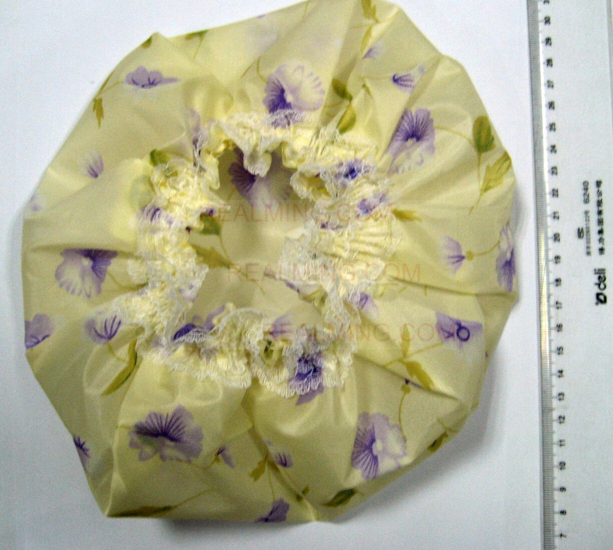 PH017.jpg (81014 bits)