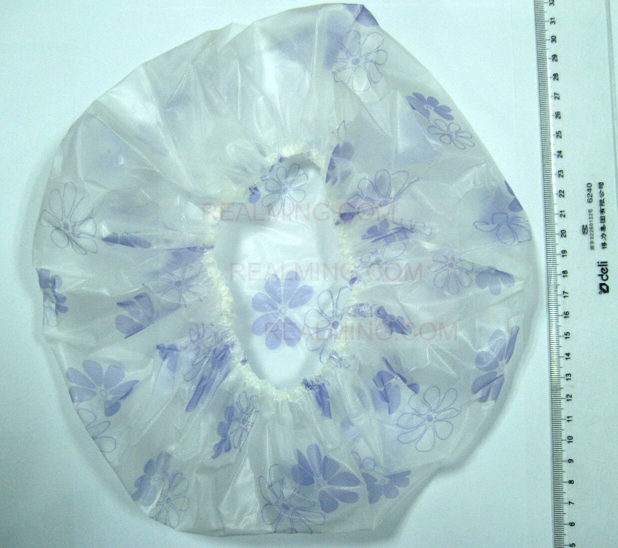 PH019.jpg (101941 bits)
